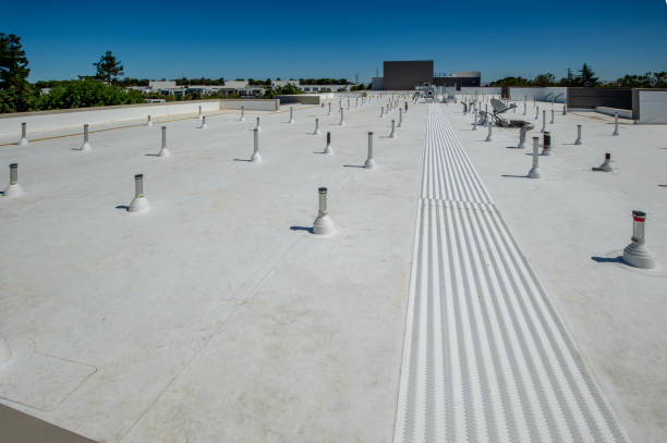 Best Roof Moss and Algae Removal  in Nesconset, NY